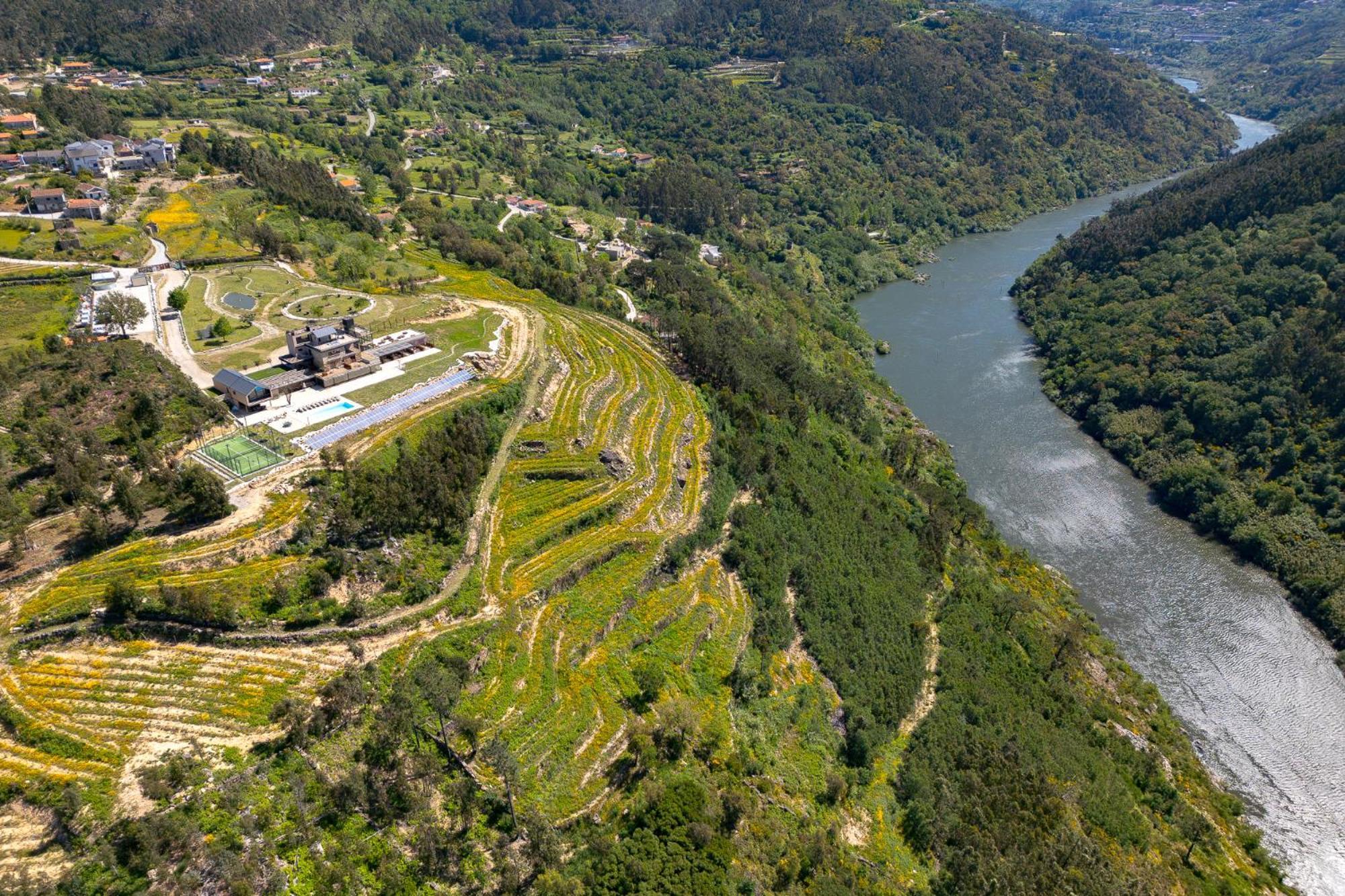 Quinta De Cabanas Douro Country House Penha Longa Luaran gambar